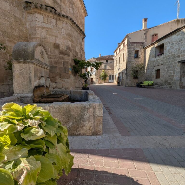 Fuentes cercanas albergue Hontanas